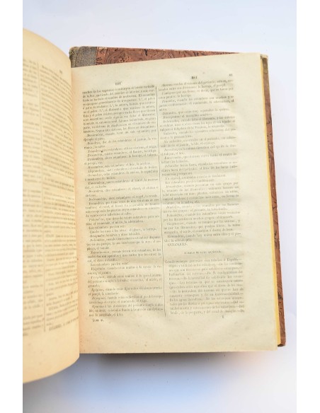 Diccionario de agricultura práctica y economía rural