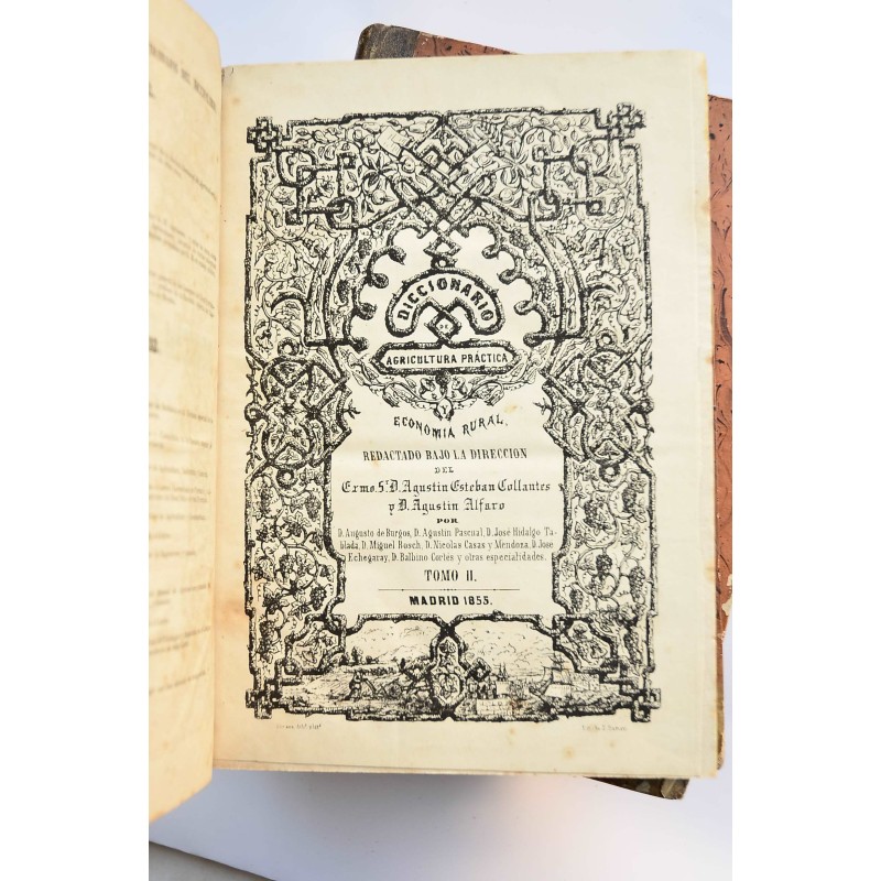 Diccionario de agricultura práctica y economía...