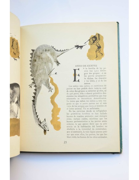 Historias con animales