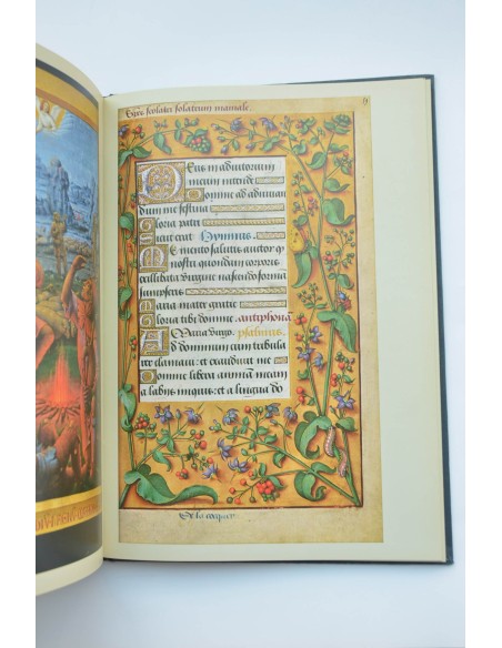 L'âge d'or des livres d'heures