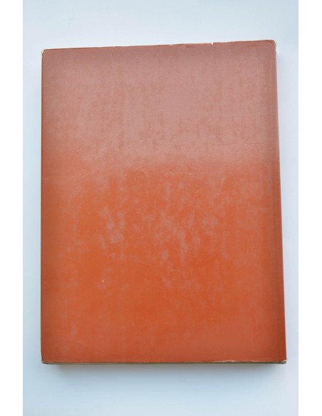 Maurice de Vlaminck catalogue raisonné de l'oeuvre gravé : gravures sur bois, gravures sur cuivre, lithographies