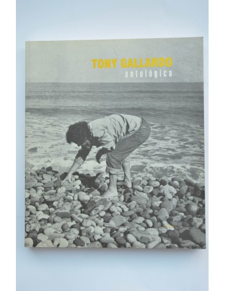 Tony Gallardo, antológica : documenta de exposición