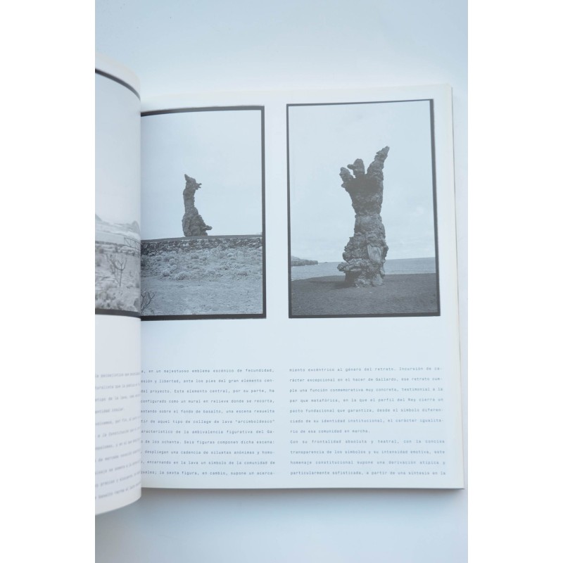 Tony Gallardo, antológica : documenta de...
