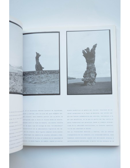 Tony Gallardo, antológica : documenta de exposición