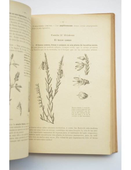 Elementos de Historia Natural