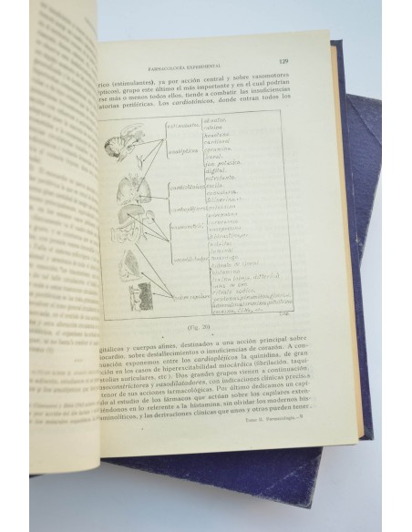 Terapéutica con sus fundamentos de farmacología experimental