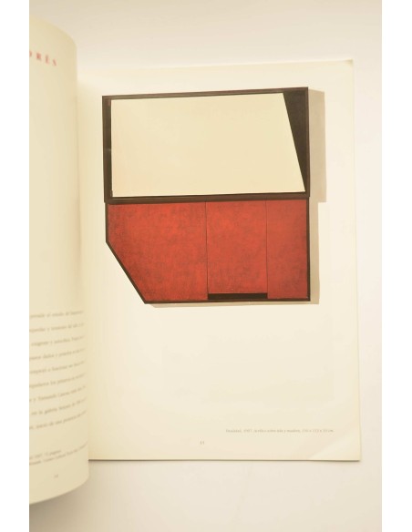 Una Mirada tensa : catálogo de exposiciones 