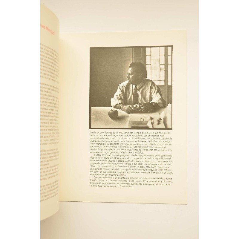 M. Mengual : catálogo de exposiciones