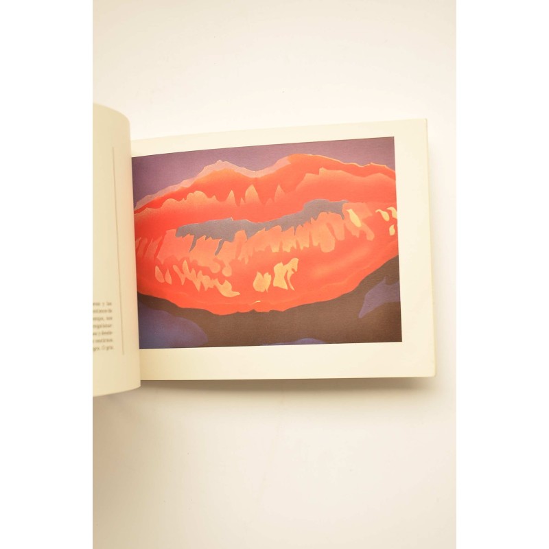 Ramón Rodríguez. 24 pinturas de las serie Kiss...