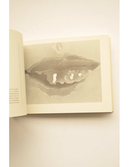 Ramón Rodríguez. 24 pinturas de las serie Kiss me baby, 1983