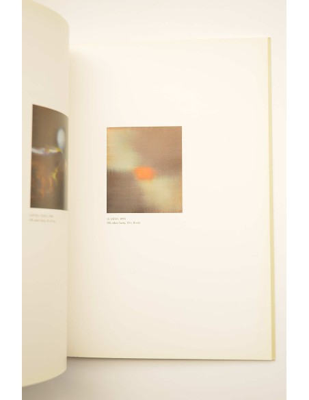 Victor Pimstein : catálogo de exposiciones