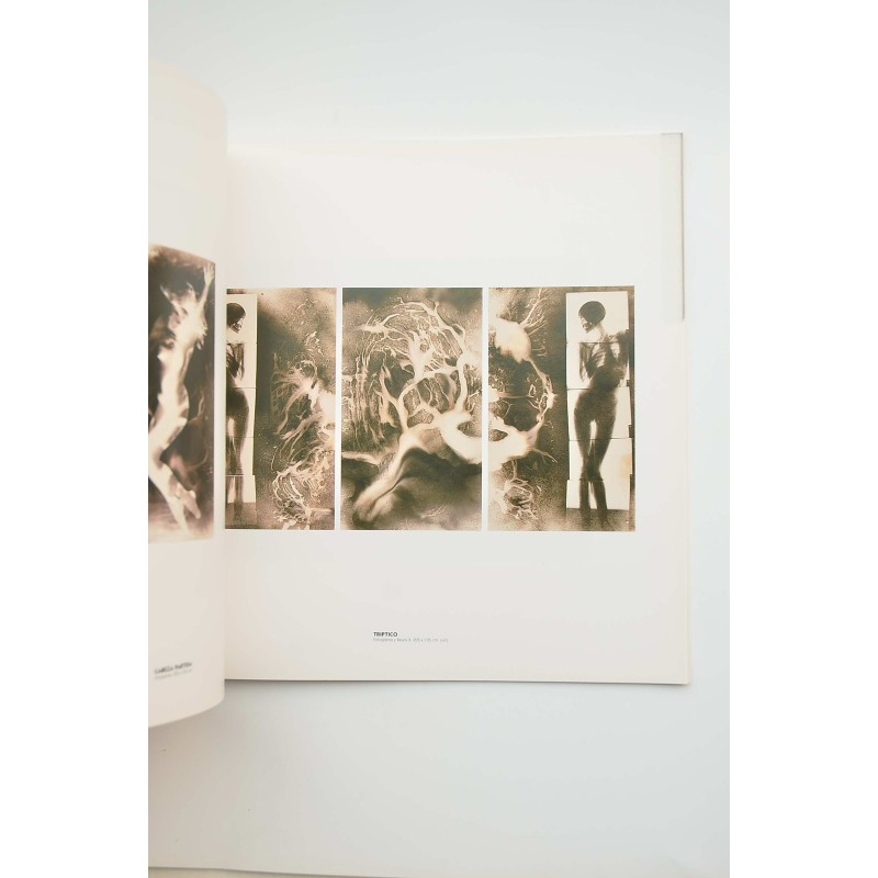 Artistas murcianos en Barcelona : catálogo de...