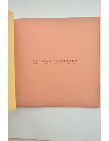 Esteban Campuzano : Pintura española, tradición y renovación . Catálogo de exposiciones, 1992