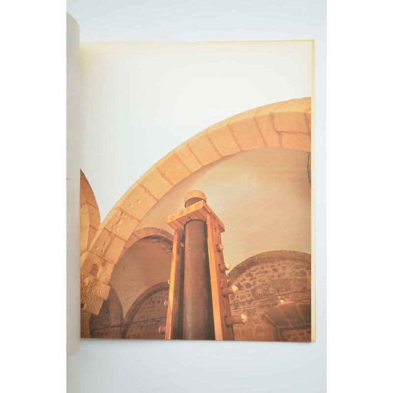 Pedro Blaya. Flujo eterno. Catálogo de arte