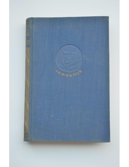 El coronel Lawrence : el rey sin corona de Arabia 1916-1919