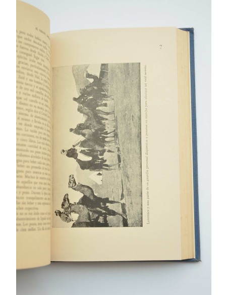 El coronel Lawrence : el rey sin corona de Arabia 1916-1919