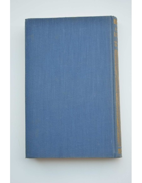 El coronel Lawrence : el rey sin corona de Arabia 1916-1919