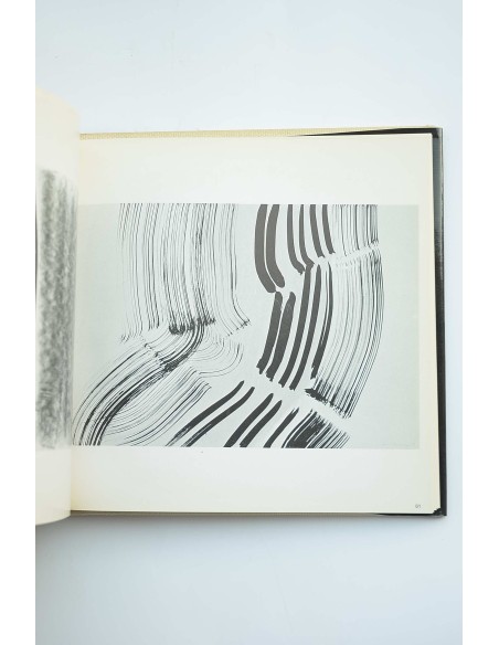 Hartung : oli i aiguadades damunt cartró : 1973-1977