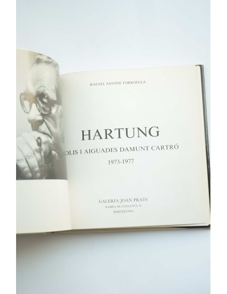 Hartung : oli i aiguadades damunt cartró : 1973-1977