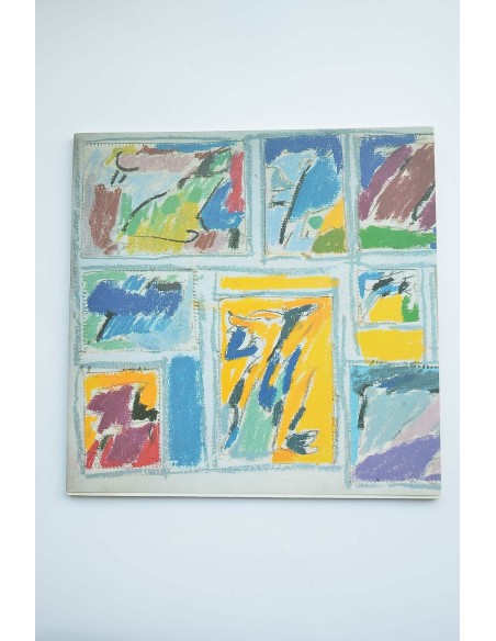 Vicente Ruiz : catálogo de exposiciones, Murcia, 1993