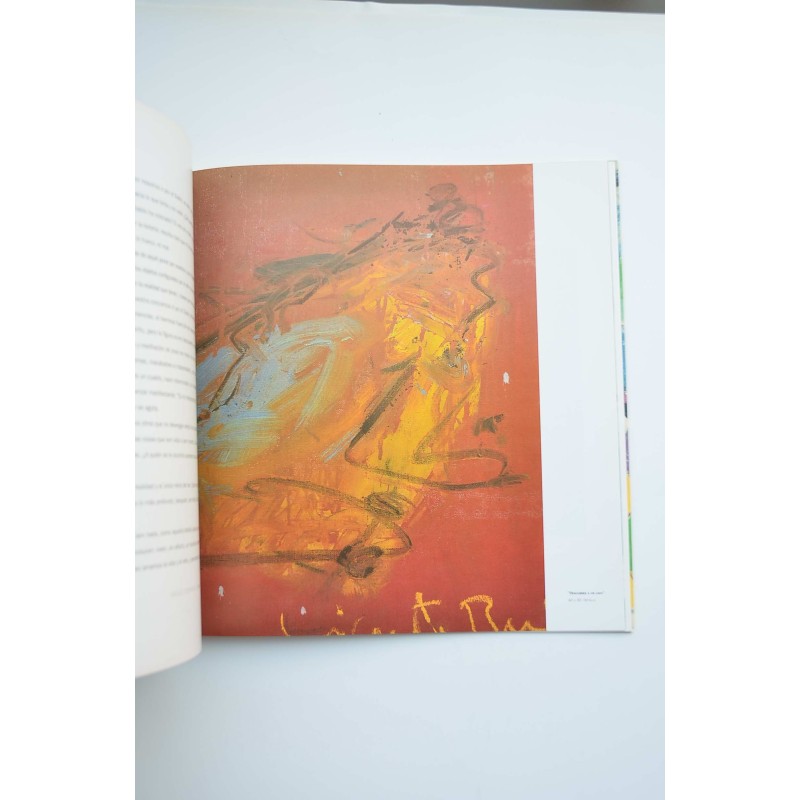 Vicente Ruiz : catálogo de exposiciones,...