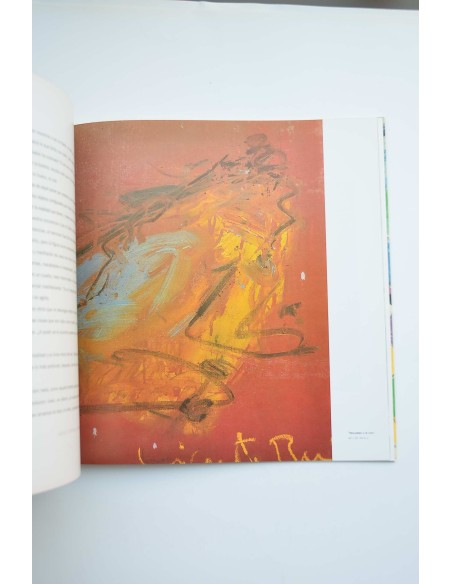 Vicente Ruiz : catálogo de exposiciones, Murcia, 1993