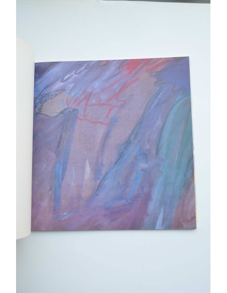 Vicente Ruiz : catálogo de exposiciones, Murcia, 1993