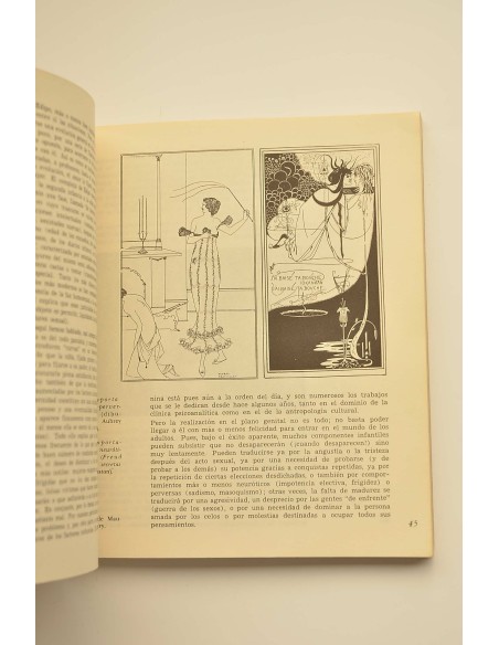 Janus. Nº 2. La historia y la sexualidad