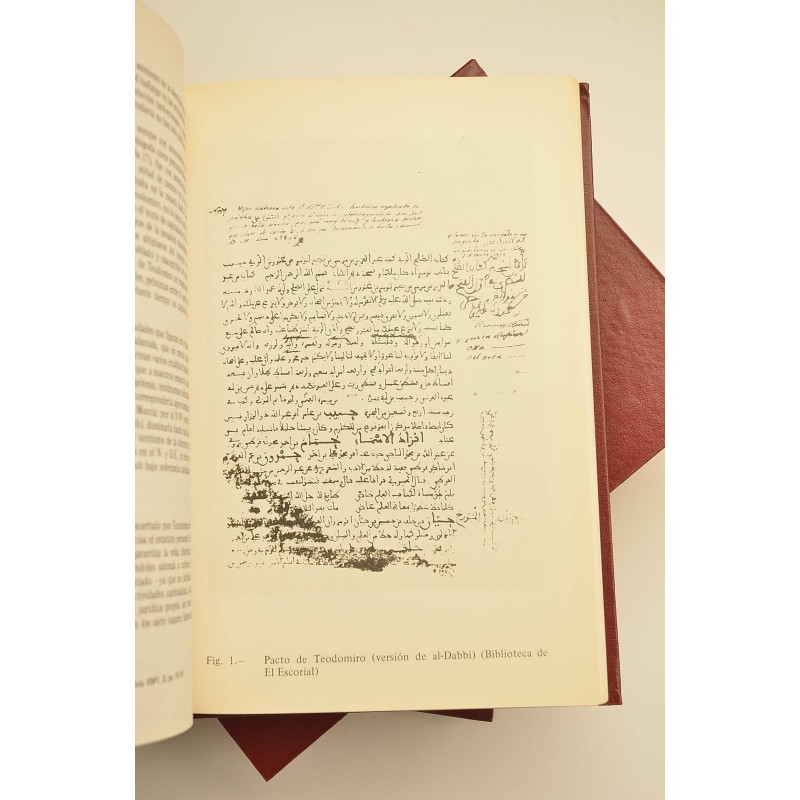 Historia de la ciudad de Orihuela