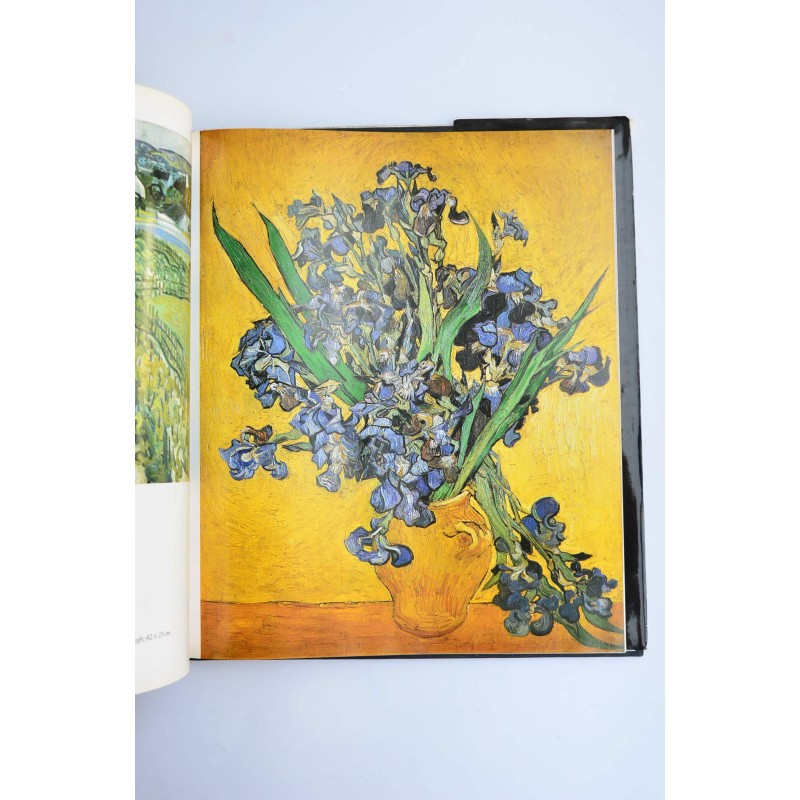 Van Gogh 