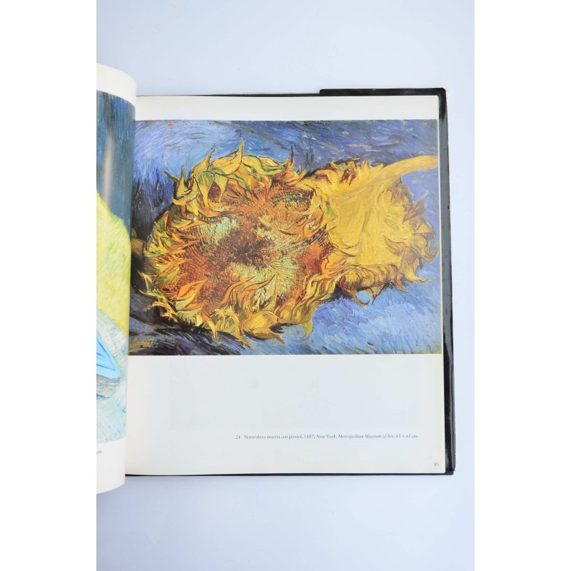 Van Gogh 