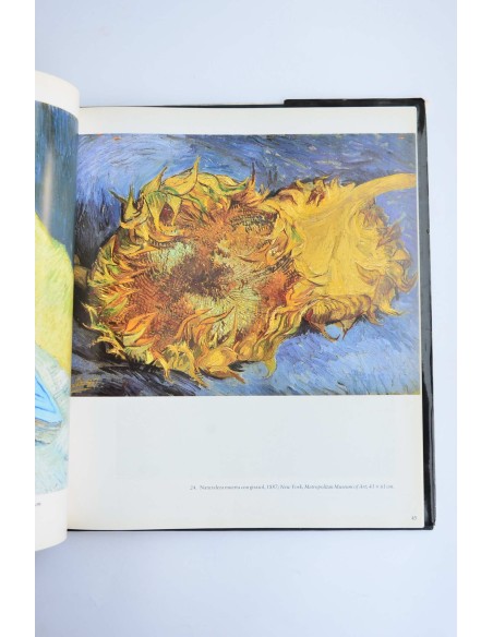 Van Gogh 