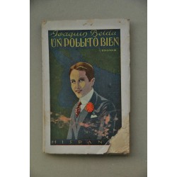 Un pollito bien : novela