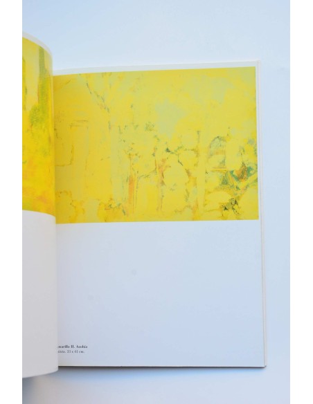 Aurelio, sobre el papel