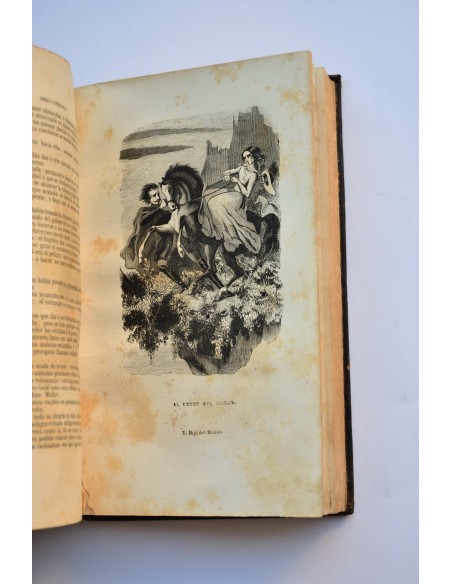 El hijo del diablo. Tomo II 