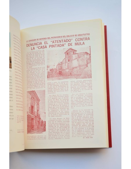 La casa pintada de la ciudad de Mula, arte e historia
