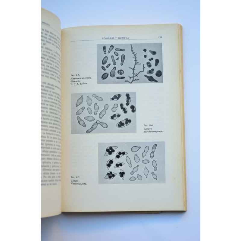Enología. Enfoques científicos y técnicos sobre...