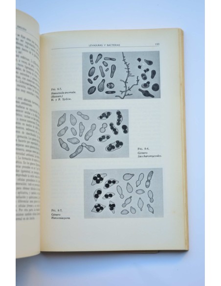 Enología. Enfoques científicos y técnicos sobre la vid y el vino