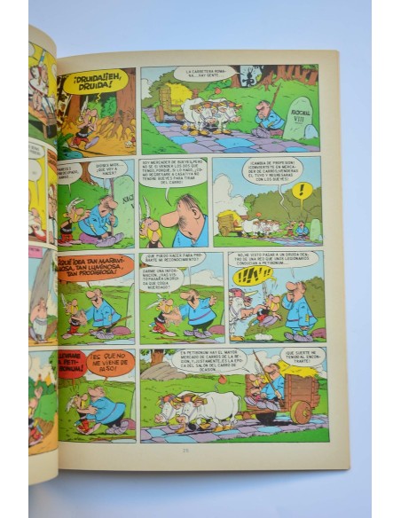 Asterix. El galo