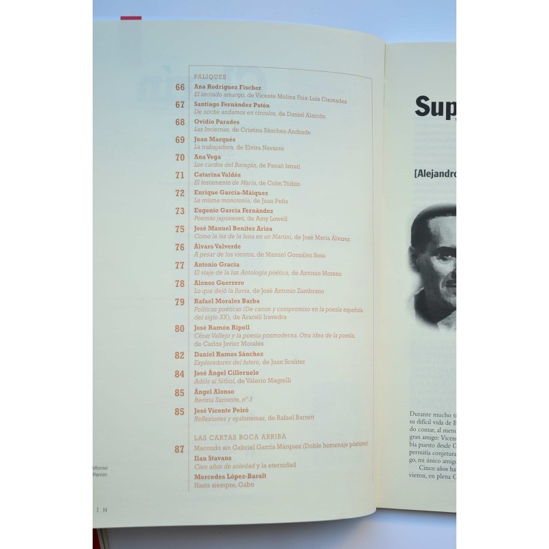 Clarín : revista de nueva literatura - Año XIX...