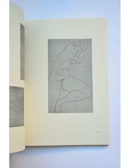 Matisse : 50 years of his graphic art