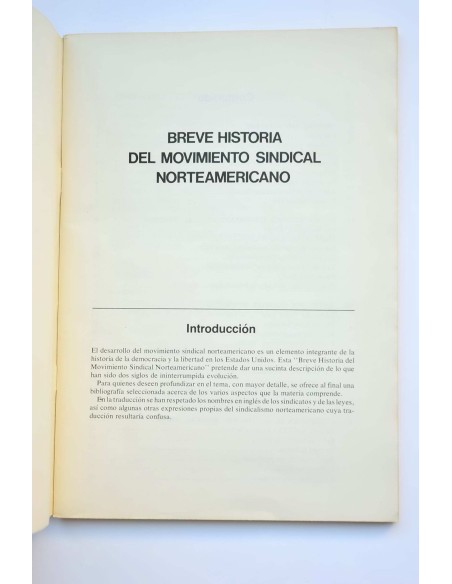 Breve historia del movimiento sindical norteamericano