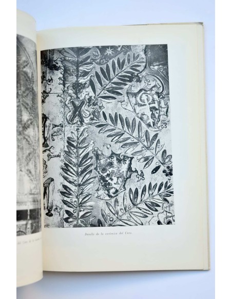 La Catedral de Mallorca : palabras e imágenes