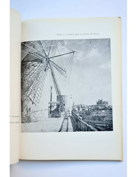 La Catedral de Mallorca : palabras e imágenes