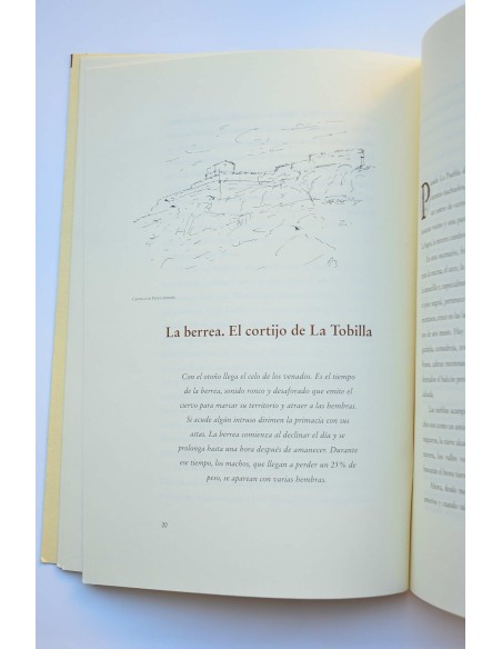 Cinco rutas por el antiguo Reino de Murcia