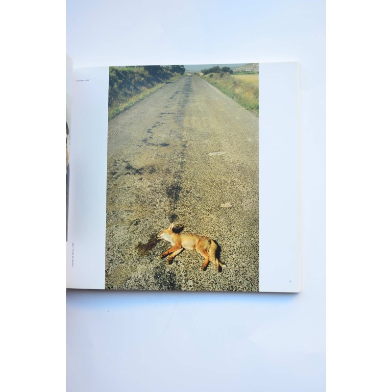 Fotoencuentros 07. Catálogo 