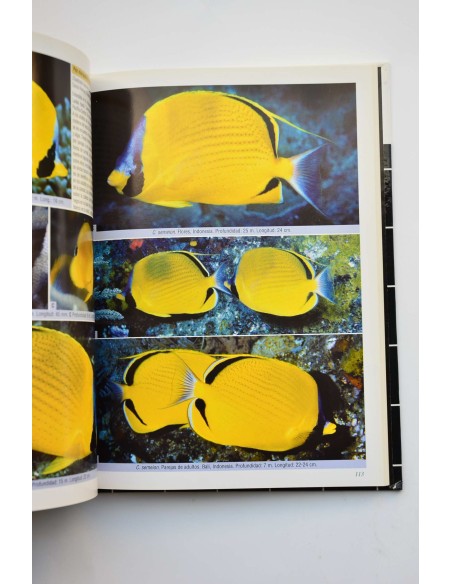 Peces mariposa, peces estandarte y especies emparentadas. Una guía extensa sobre chaetodontidae y microcanthidae