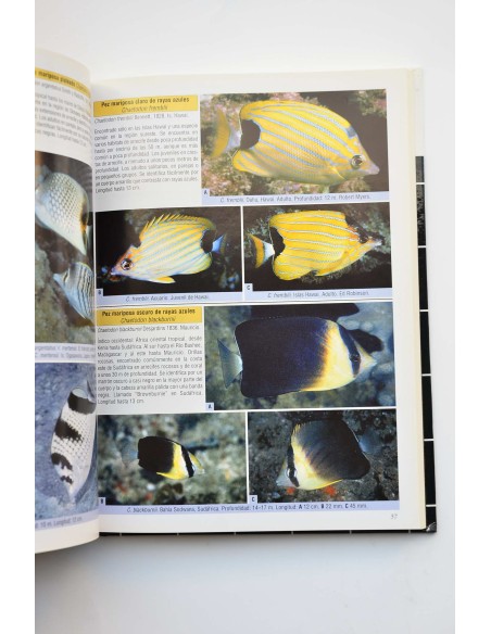 Peces mariposa, peces estandarte y especies emparentadas. Una guía extensa sobre chaetodontidae y microcanthidae
