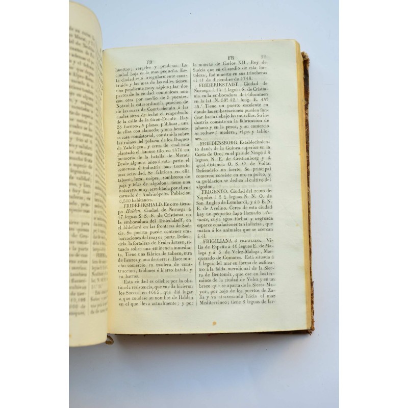 Diccionario teórico, práctico, histórico y...