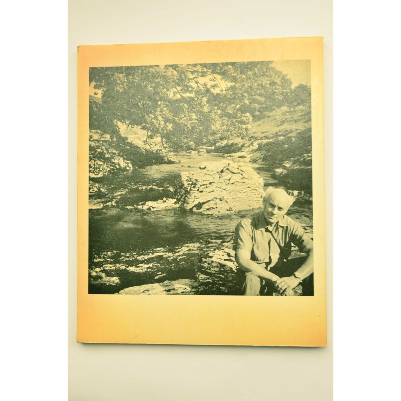 Ben Nicholson : new work